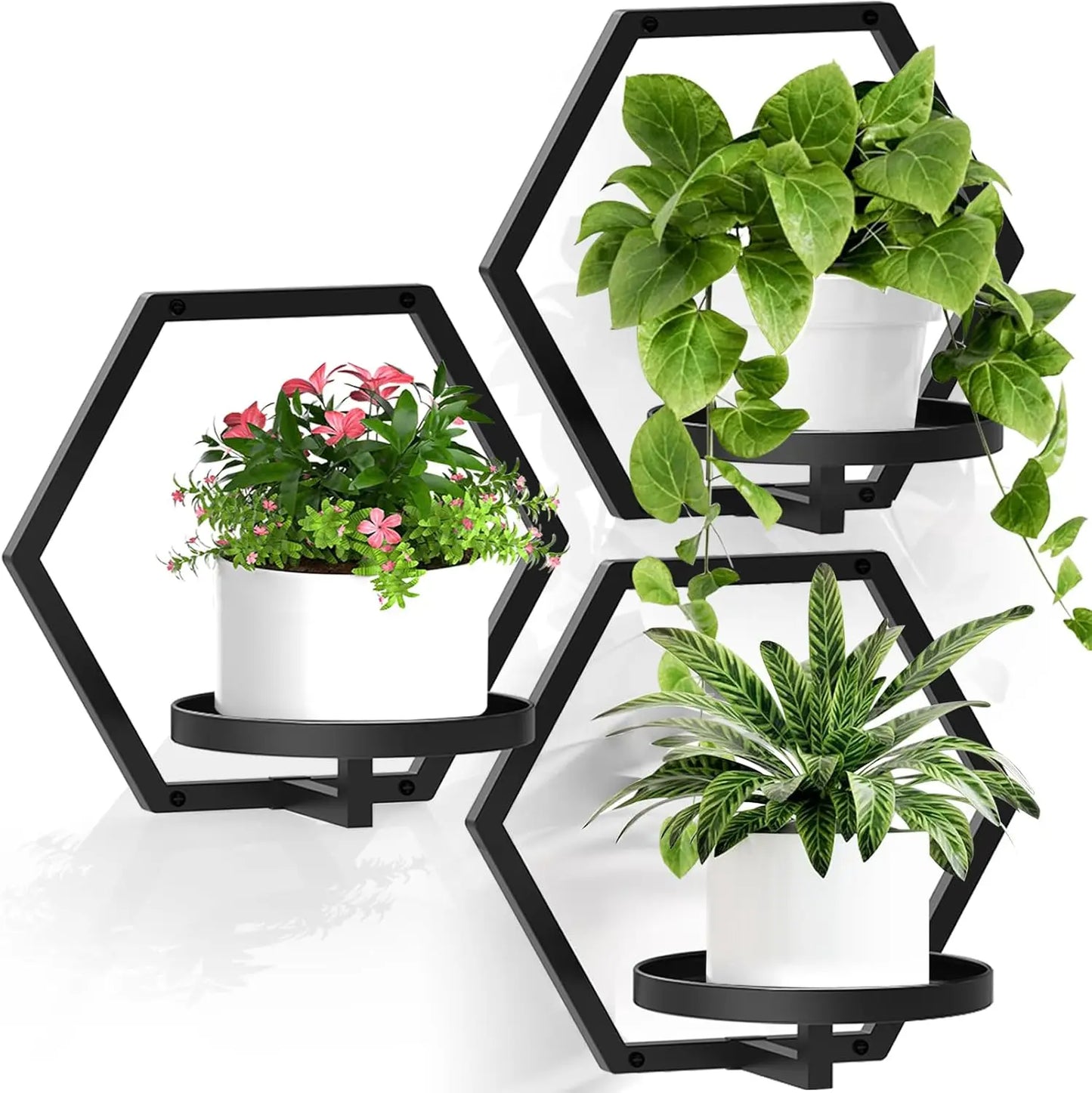3-Pack Hexagonal Black Metal Wall Planters